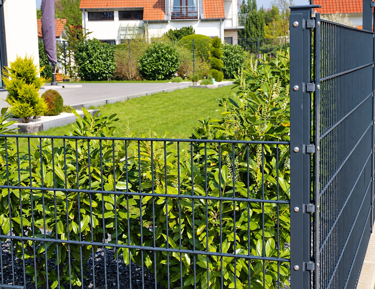 Panneaux de clôture rigide gris anthracite fixés sur un poteau, devant une haie de lauriers et un jardin avec pelouse et maison.