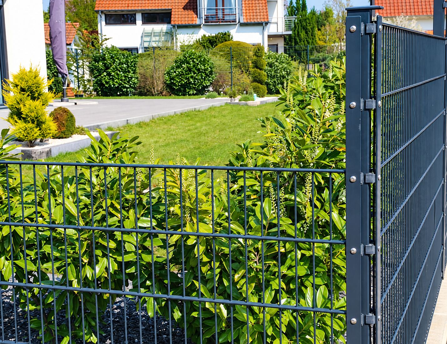 Une clôture rigide en panneaux grillagés gris anthracite fixée à un poteau délimite un jardin avec des laurelles, une pelouse et une maison en arrière-plan.